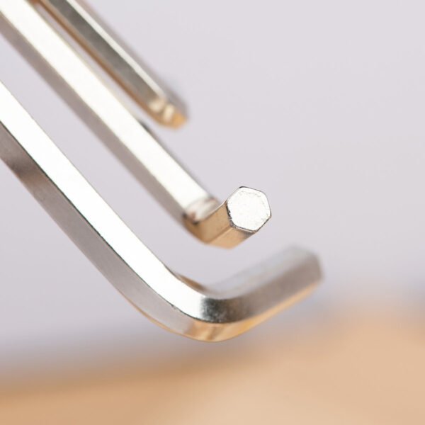 Šešiakampių raktų rinkinys 1.5–10mm Deli Tools EDL3100 (sidabrinis) - Image 3