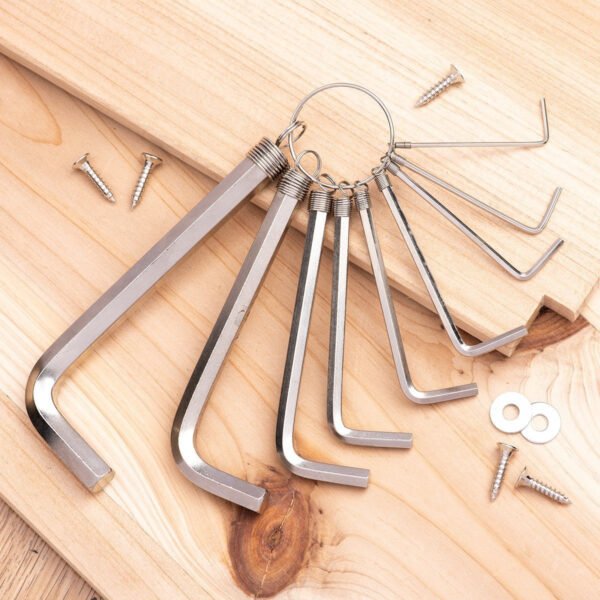 Šešiakampių raktų rinkinys 1.5–10mm Deli Tools EDL3100 (sidabrinis) - Image 2