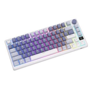 Silver switch (blue)