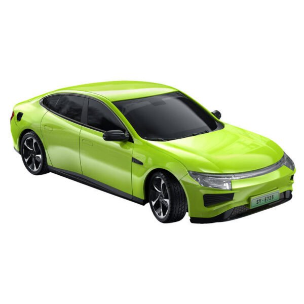 Nuotoliniu būdu valdomas automobilis 1:16 Double Eagle (žalias) Elektrinis automobilis E725-003 - Image 3