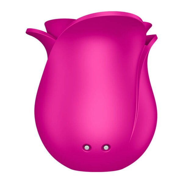 Klitorinis masažas Satisfyer Pro 2 Modern Blossom - Image 4