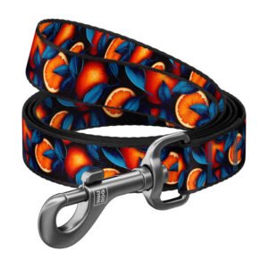 Nylon dog leash