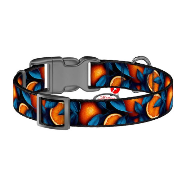 Waudog „Oranges“ nailoninė šunų apykaklė su QR kodu, dydis L - Image 3