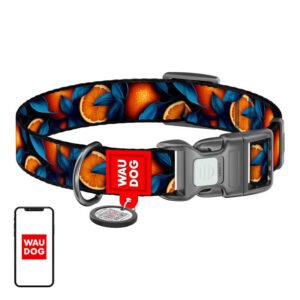 Waudog "Oranges" nylon dog collar with QR code