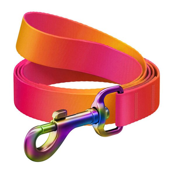 WAUDOG gradient nylon dog leash