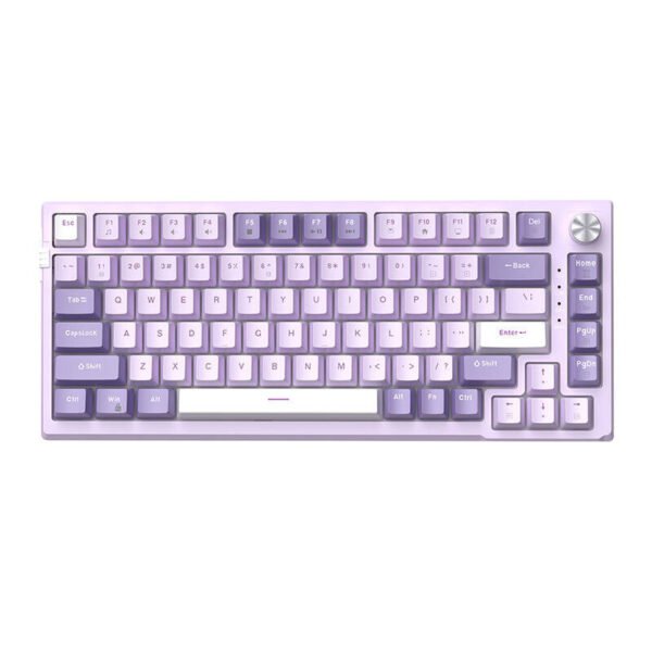 Laidinė klaviatūra MageGee SKY81 (violetinė) - Image 2