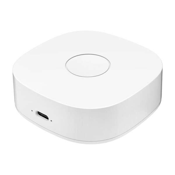 Išmanusis namų įrenginys WS2GW-R WiFi - Image 2