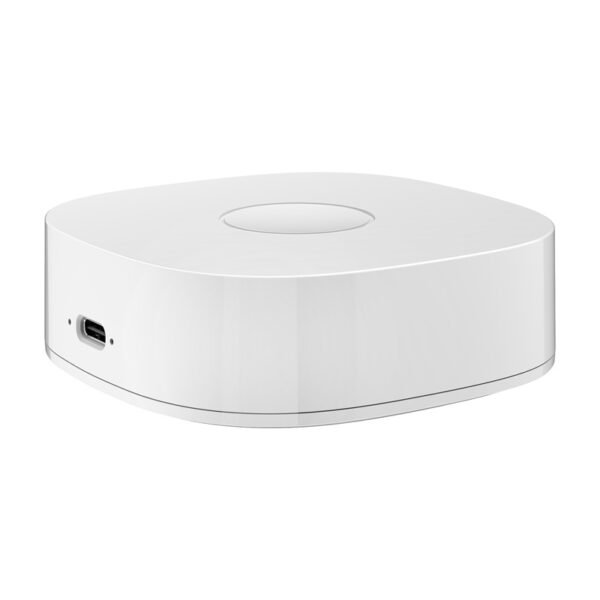 Išmanusis namų įrenginys WS2GW-R WiFi - Image 4