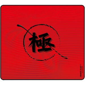 X-raypad Equate Plus V2 Kiwami
