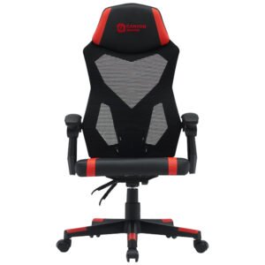 CANYON Flow MCH01 Mesh