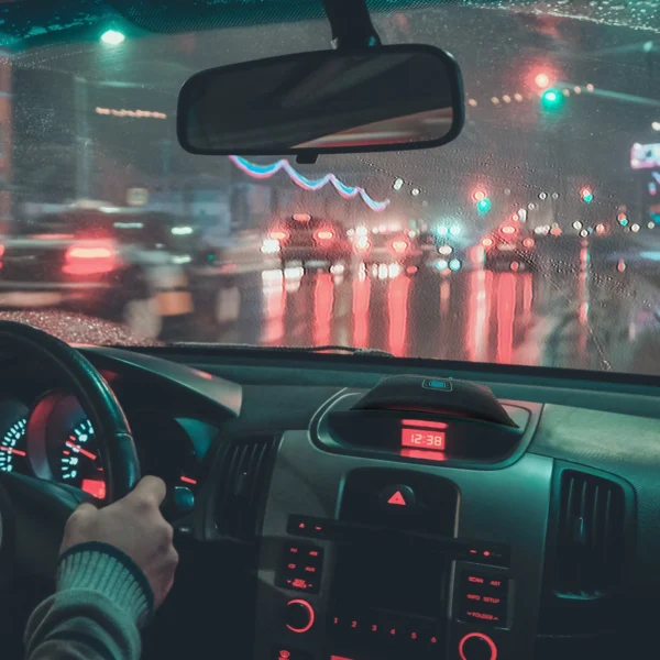 Automobilio drėgmės ir kvapo sugerėjas 300 g - Image 5