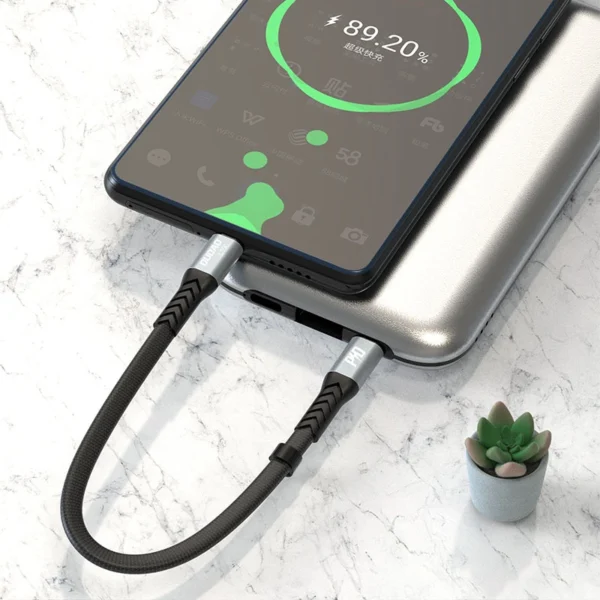 Dudao L10C USB-C – USB-C PD laidas 100W 5A 0,23m – juodas - Image 7