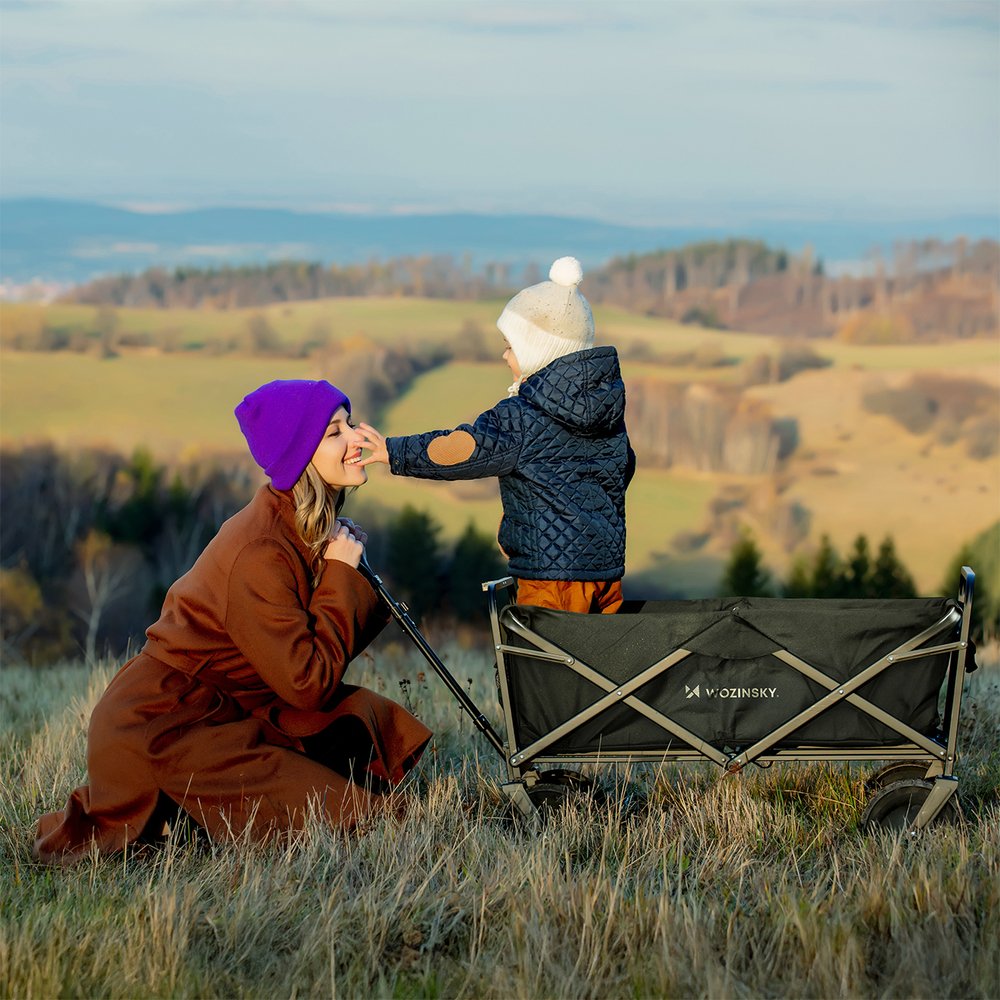 Wozinsky WZP-100 paplūdimio, turistinis, sodo vežimėlis, tvirtas, su plačiais ratais, apsauginiu tinklu, iki 100 kg – juodas - Image 13