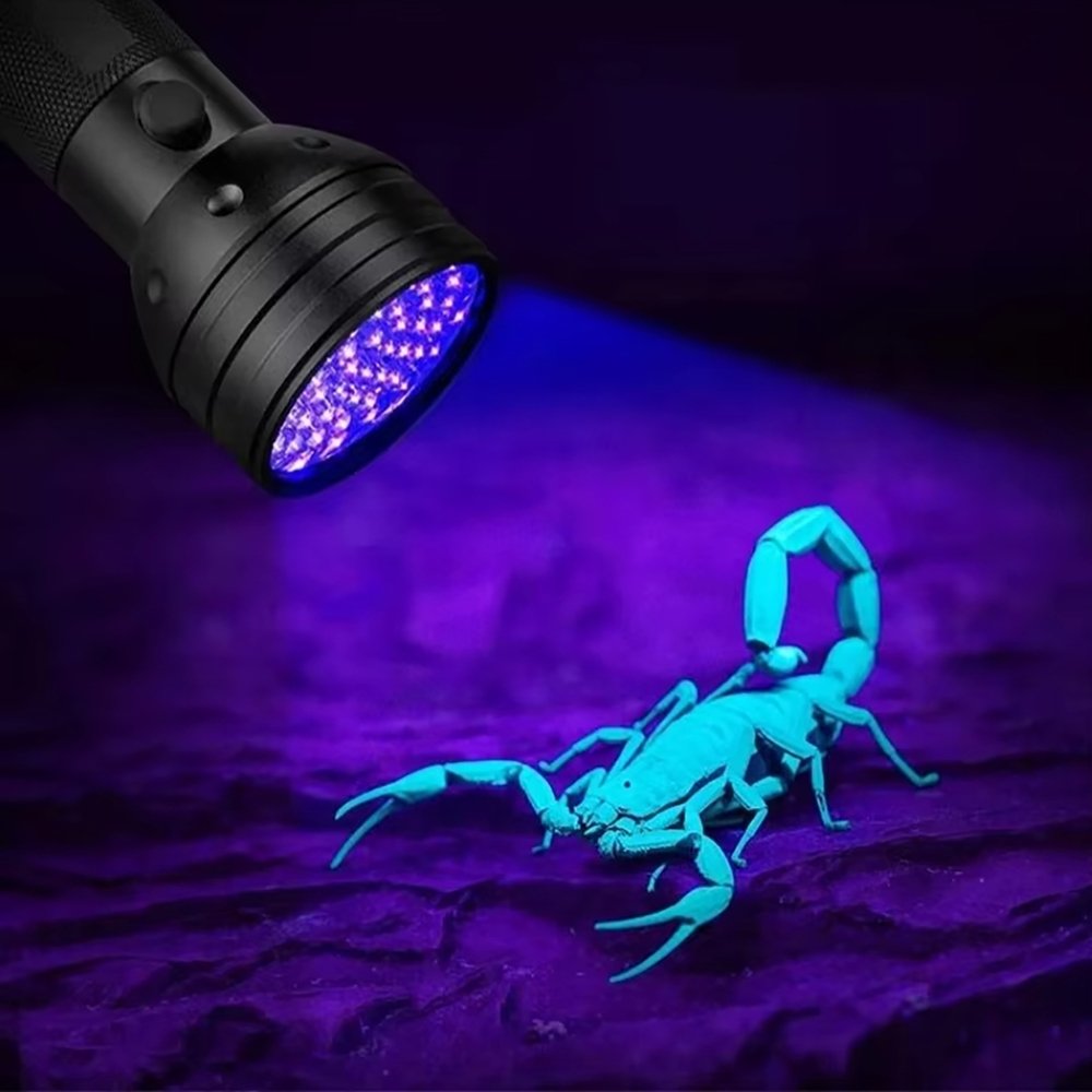 Wozinsky WLT-51L UV žibintuvėlis pėdsakų aptikimui, IP65 – juodas - Image 7
