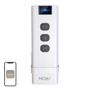 MOES YK2169 Remote Control