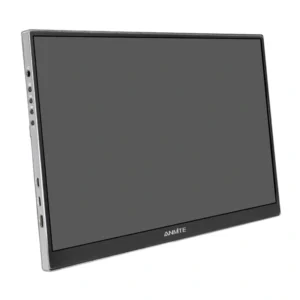 ANMITE A160W04H 16" Portable Monitor
