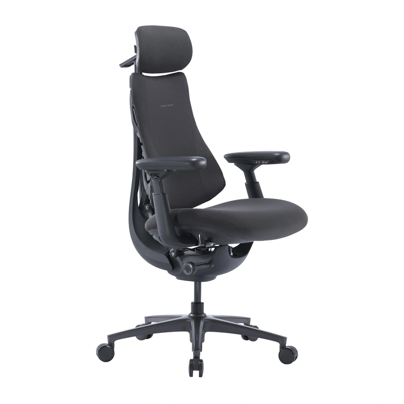 LiberNovo Omni Pro 45cm Ergonomic Chair (Graphite)