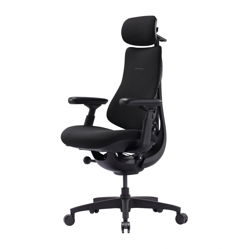 LiberNovo Omni SE ergonominė kėdė 48 cm (juoda) - Image 3