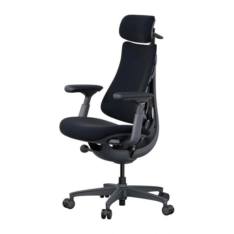 LiberNovo Omni ergonominė kėdė 48 cm (juoda) - Image 2