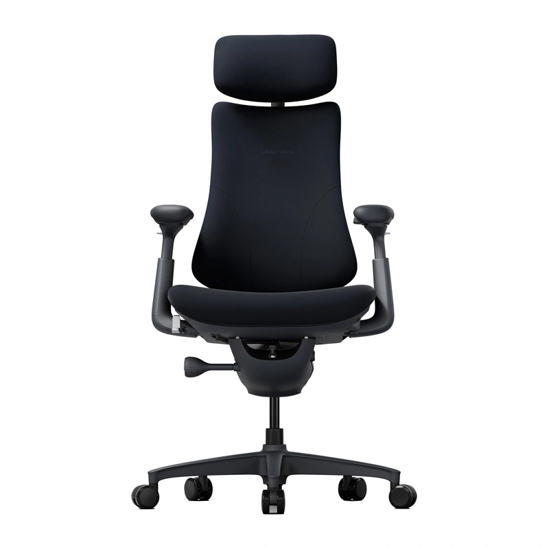 LiberNovo Omni 48 cm Ergonomic Chair (Black)